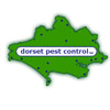 DORSET PEST CONTROL