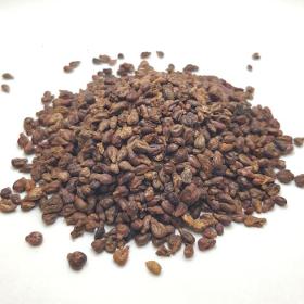Kara üzüm çekirdeği, grape seeds, Monastrell seeds