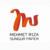 MEHMET RIZA SUNGUR PAPER