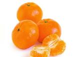 Satsuma mandarin