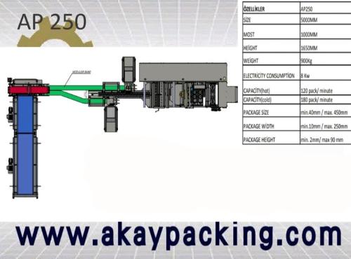 AP250 Paketleme Makinası 